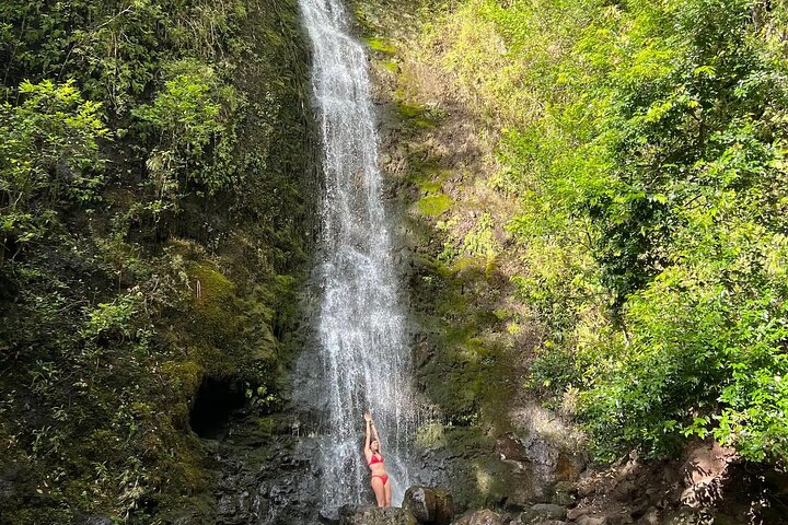 Hike to a Tropical Waterfall - pick up included - Photo 1 of 6
